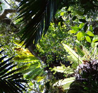 Byrrill Creek Walking Track - Attractions Melbourne