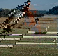 Camden Bicentennial Equestrian Park - Attractions Melbourne