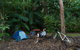 Cathu State Forest - thumb 1