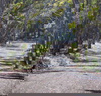 Coolah Tops National Park - Attractions Melbourne