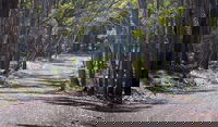 Coolah Tops National Park