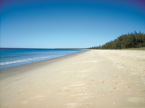 Coral Coast Pathways (Woodgate Beach Section) - Attractions Melbourne 0