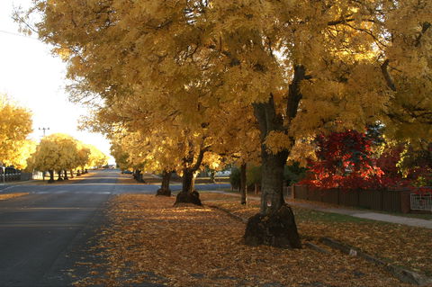 Crookwell - Attractions Melbourne 1