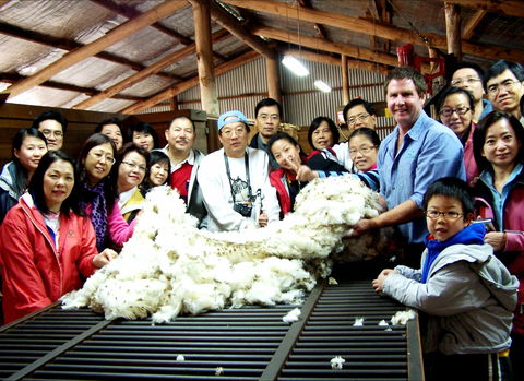 Curringa Farm - Accommodation And Farm Tours - Attractions Melbourne 2
