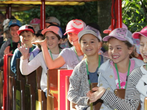 Currumbin Wildlife Sanctuary - Attractions Melbourne 1