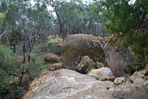 Dergholm State Park - Attractions Melbourne 0