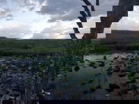 Fogg Dam Conservation Reserve