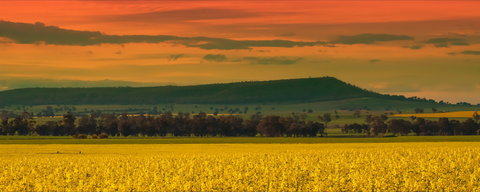 Galore Hill Scenic Reserve - Attractions Melbourne 0