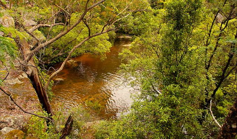 Girrakool Loop Track - Attractions Melbourne 0