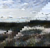 Gwydir Wetlands Moree - Attractions Melbourne