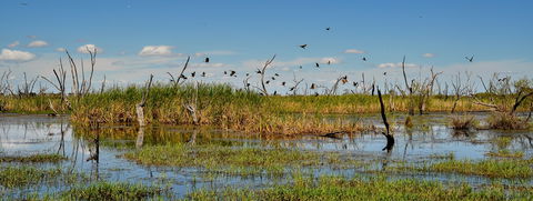 Gwydir Wetlands Moree - Attractions Melbourne 1