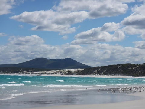 Hakea Walk Trail, East Fitzgerald National Park - Attractions Melbourne 0