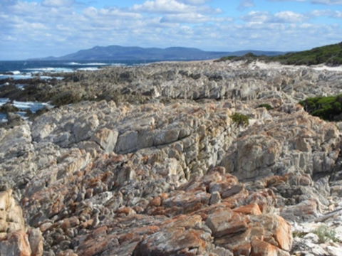 Hakea Walk Trail, East Fitzgerald National Park - Attractions Melbourne 1