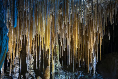 Hastings Caves And Thermal Springs - Attractions Melbourne 0