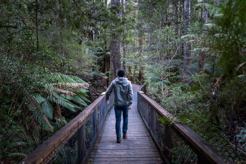 Hastings Caves And Thermal Springs - Attractions Melbourne 1