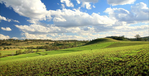 Hodgson Vale - Attractions Melbourne 0