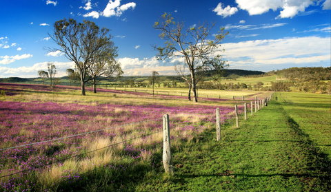 Hodgson Vale - Attractions Melbourne 1