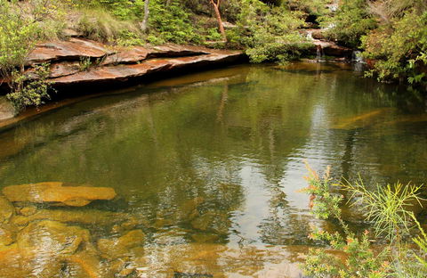 Hominy Creek Walking Track - Attractions Melbourne 0