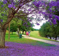Howe Park - Attractions Melbourne