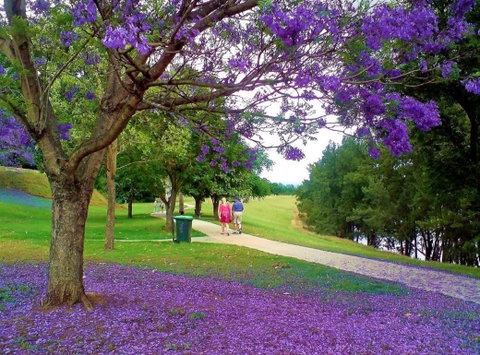 Howe Park - Attractions Melbourne 0
