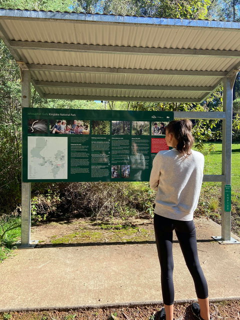 Jehosaphat Gully Picnic Area - Attractions Melbourne 0
