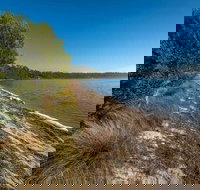 Jewfish Walk - Attractions Melbourne