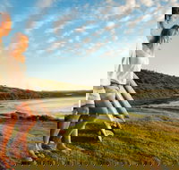 Killalea Reserve - Attractions Melbourne