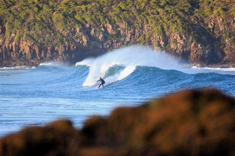Killalea Reserve - Attractions Melbourne 1