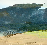 Langi Ghiran State Park - Attractions Melbourne