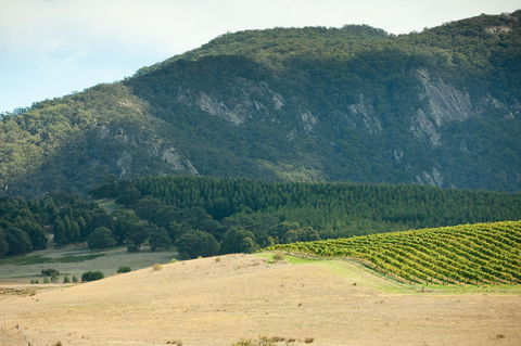 Langi Ghiran State Park - Attractions Melbourne 0