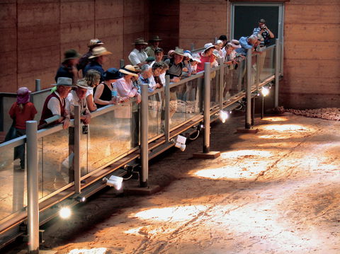 Lark Quarry Conservation Park - Attractions Melbourne 0
