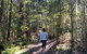 Lyrebird Circuit Walk - thumb 0