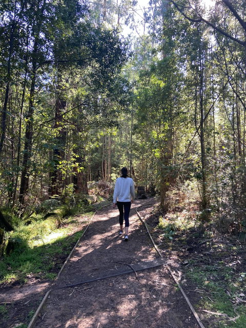 Lyrebird Circuit Walk - Attractions Melbourne 0