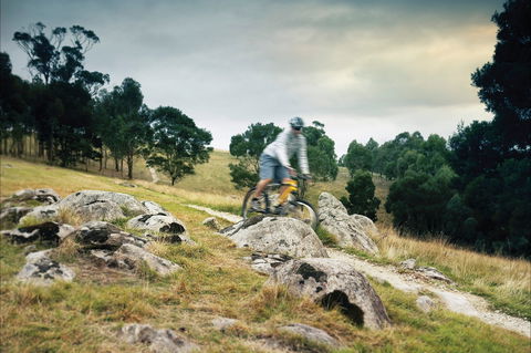 Lysterfield Park - Attractions Melbourne 1