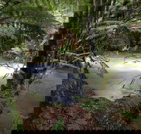 Marriotts Falls and Junee Caves - Attractions Melbourne