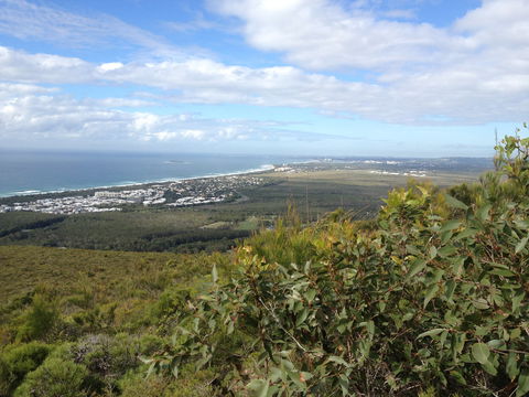 Mount Coolum National Park - Attractions Melbourne 0