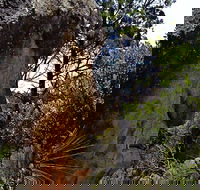 Mystery Face Walking Track - Attractions Melbourne