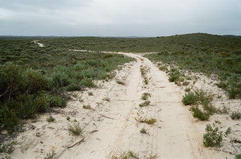 Ngarkat Conservation Park - Attractions Melbourne 0