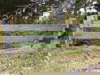 Nimmitabel Heritage Walk