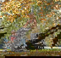 Noreuil Park - Attractions Melbourne