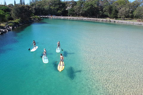 Paddleboard At Back Creek South West Rocks - Attractions Melbourne 0
