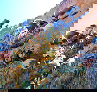 Paintball Albury Wodonga - Attractions Melbourne