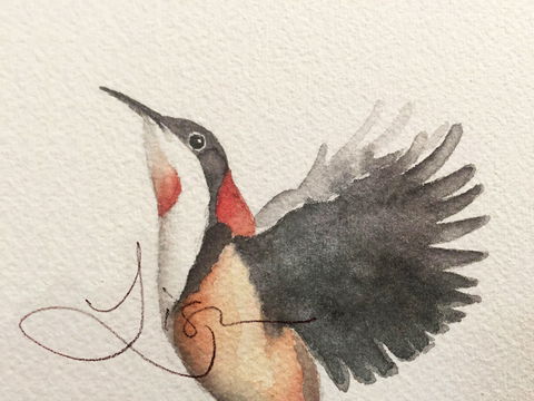 Pebbles And Pods - Attractions Melbourne 0