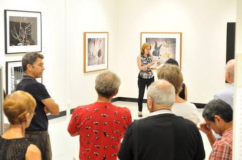 Pine Rivers Art Gallery - Attractions Melbourne 1