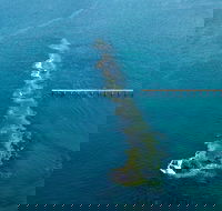 Port Noarlunga Reef Sanctuary Zone - Encounter Marine Park - Attractions Melbourne