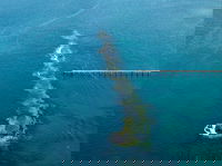 Port Noarlunga Reef Sanctuary Zone - Encounter Marine Park