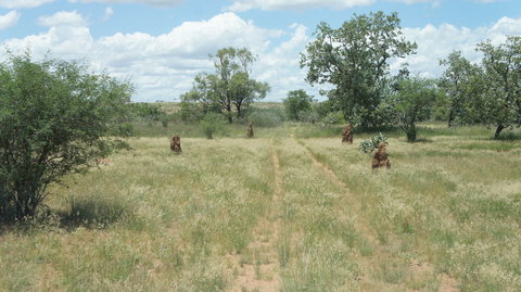 Powell Creek Telegraph Station - Attractions Melbourne 2