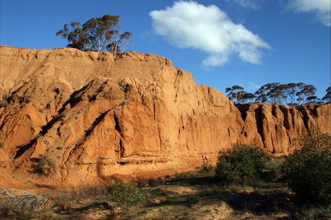 Red Banks Conservation Park - Attractions Melbourne 0