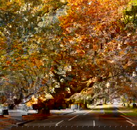 Richmond - Attractions Melbourne