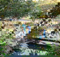 Rockhampton Botanic Gardens - Attractions Melbourne